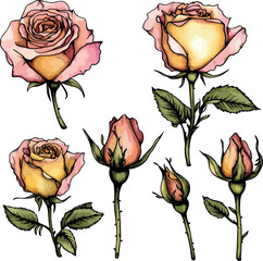 set of adorable colourful drawn cartoon roses flowers