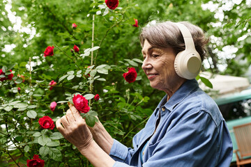 Enjoying nature in a vibrant garden while tending to beautiful roses and listening to music