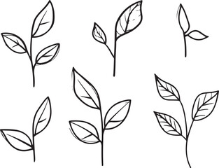 set of line art black doodled plants with leaves