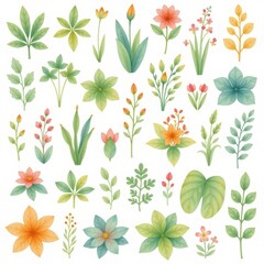 a collection of plants, arranged in a 3x3 grid on a white background, watercolor style