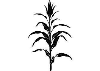 Creative Cron Vector , doodle Cron Vector, Premium Cron Vector Adobe Illustrator Ready, Stylish Cron Vector Art 