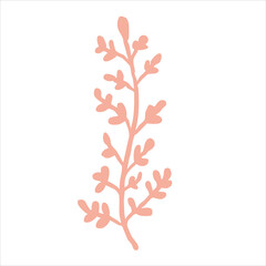 Cute hand-drawn pastel color thin pink coral, cozy aesthetic sea element.