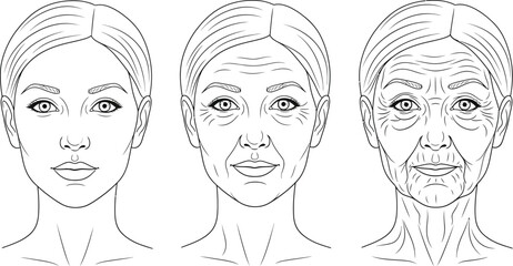 Visualizes female aging progression through line art illustrations