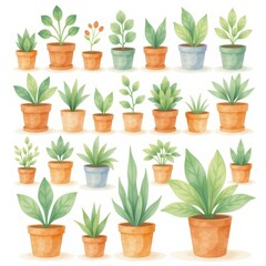 Fototapeta premium a collection of plant pots, arranged in a 3x3 grid on a white background, watercolor style
