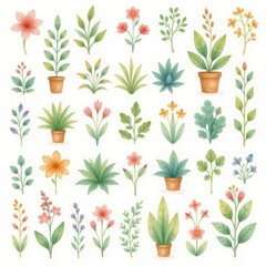 a collection of plants, arranged in a 3x3 grid on a white background, watercolor style
