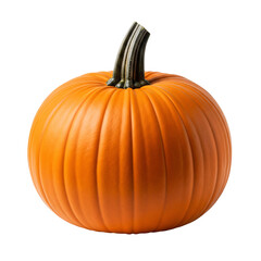 Obraz premium Whole Ripe Orange Pumpkin Isolated on White Background - Autumn Harvest and Halloween Symbol