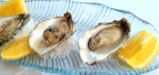 Fresh oysters with lemon close-up. Oysters in a restaurant. Fresh oyster.