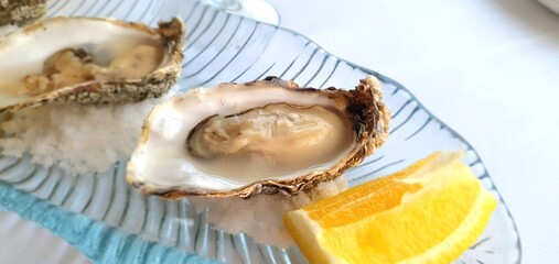 Fresh oysters with lemon close-up. Oysters in a restaurant. Fresh oyster.