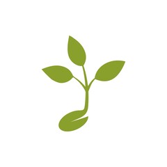 Young Sprout icon sign isolated on white background