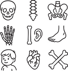Simple line art icons depicting the human skeleton, organs, and body parts, perfect for medical websites, educational materials, or app design.  These clean and easily understandable illustrations
