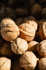 Walnuts in warm sunlight super close-up vertical shot, walnuts in warm sunlight and shadow, walnut harvest and storage.