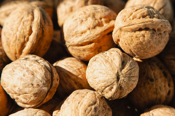 Walnuts in bright sunlight super close-up, walnuts in warm sunlight.