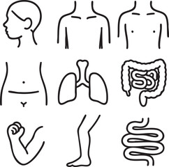 A collection of simple black line icons illustrating various human body parts and internal organs for medical and educational purposes.