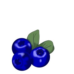 ブルーベリー