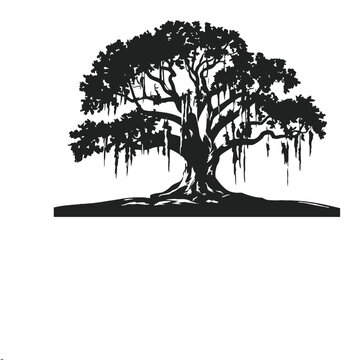 Spanish Moss Hanging from Live Oak Tree Silhouette Vector Illustration
