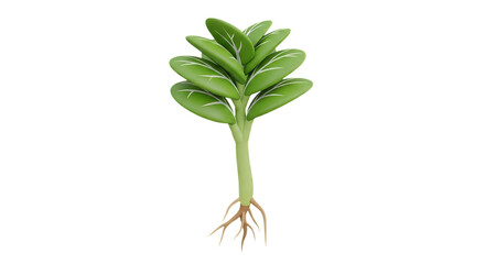 Healthy Seedling Growth 3D Illustration