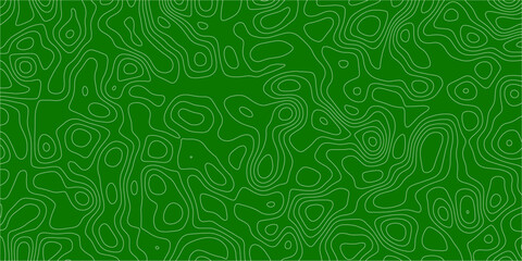 Abstract Web of Natural Surface Cracks

