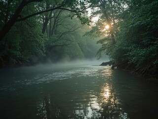 Mist rises over the river at dawn, casting a serene mood across the lush green forest canopy above the still water.