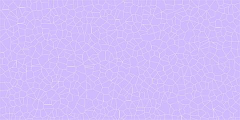 Cracked Terrain Representing Structured Chaos

