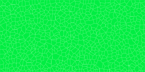 Network of Cracks Creating an Artistic Display

