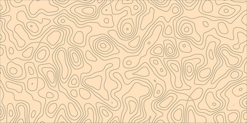 Flowing Lines Creating a Labyrinth of Thought and Space

