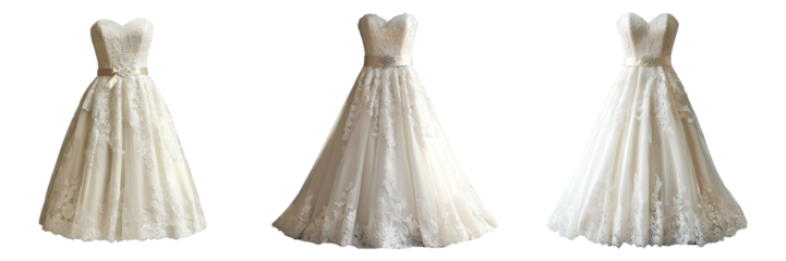 Set of Strapless A-Line Wedding Dress with Floral Lace and Satin Ribbon Belt on Transparent Background