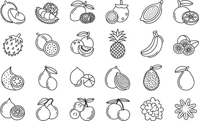 Outline Fruit Illustrations Featuring Rare and Tropical Produce