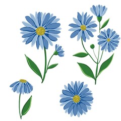 Collection of hand-drawn blue daisy flowers with green stems and leaves on a white background. Ideal for digital design, stickers, scrapbooking, or fabric elements.