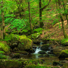 Small stream, waterfall and undergrowth of the Tarn in the Commune of Lamontélarié in the south of France
