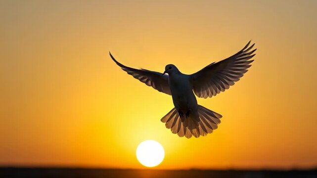 Silhouette Of White Dove Flying In Orange Sky During Sunset With Golden Light Nature Peace and Freedom Optimized for Adobe Stock Photo