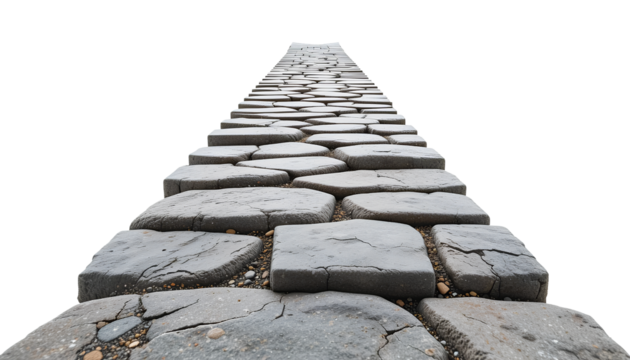 Irregular Stone Pathway with Varying Shapes and Sizes Leading to Center – Natural Textured Walkway Design