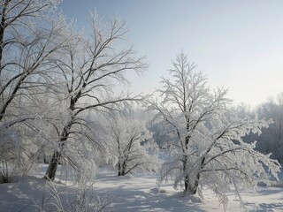 Frosty trees glisten in the morning light casting long shadows on the fresh snow, creating a serene winter landscape