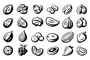 Healthy Organic Fruits Set in Simple Black Line Illustrations