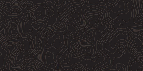 "Abstract dark background with fine topographic contour lines. Modern, minimal texture ideal for tech designs, presentations, wallpapers, and user interface elements. High contrast and stylish layout"
