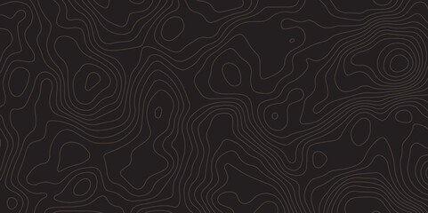"Abstract dark background with fine topographic contour lines. Modern, minimal texture ideal for tech designs, presentations, wallpapers, and user interface elements. High contrast and stylish layout"