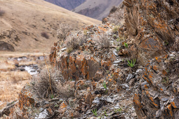 Rugged mountain landscape with rocks and plants in daytime