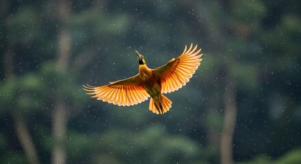 Fototapeta premium Rise Above: Golden Wings Amid the Storm