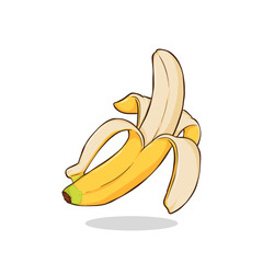 Banana Hand drawn illustration isolated on white background