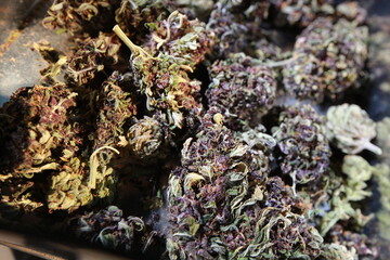 dry bud medical marijuana.cannabis close up