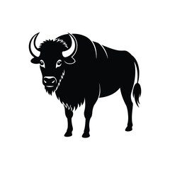A magnificent bison silhouette vector illustration
