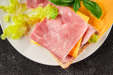 Sandwich ham, cheese, bread toast meat spam fresh delicious gourmet food background on the table rustic food top view copy space