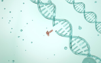 Gain-of-function research. A section of DNA is breaking apart. The concept of genome editing. Innovative methods to treat genetic diseases. Genetic medicine