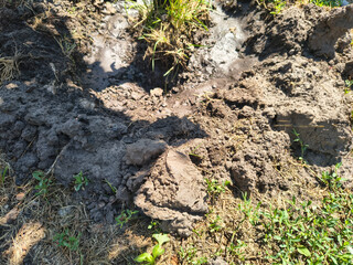 dry earth. Cracked black earth. Dry summer. Insufficient soil moisture. Lack of moisture in the soil. Dry cracked land ground, rotating, turning, top view