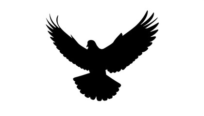 Obraz premium Silhouette of a soaring bird