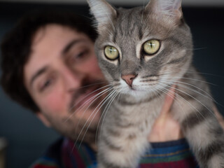 Gros plan chat gris tenu par son ma&icirc;tre arri&egrave;re-plan flou