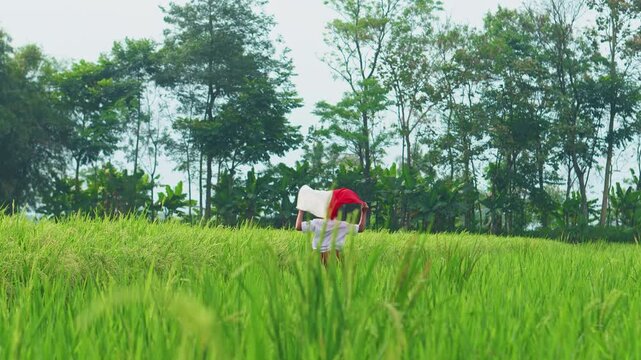 Back View Of Young Indonesian Boy In School Uniform Running While Carrying The Indonesian Flag In Rice Field Area