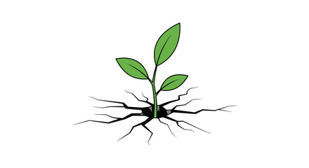 Fototapeta premium Exploring the intricate network of a young plant's roots growing strong and healthy in fertile soil beneath the surface