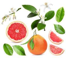 Fresh grapefruits, green leaves and flowers on white background, collage