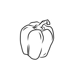 Hand drawn vector illustration of isolated line art sweet bell pepper white background, outline vegetable icons for organic product design, eco-friendly packaging, coloring book and food ingredient