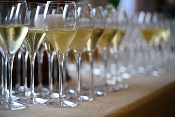 Calici di vino bianco frizzante del Trentino - Italia
